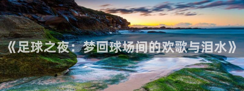 《足球之夜：梦回球场间的欢歌与泪水》