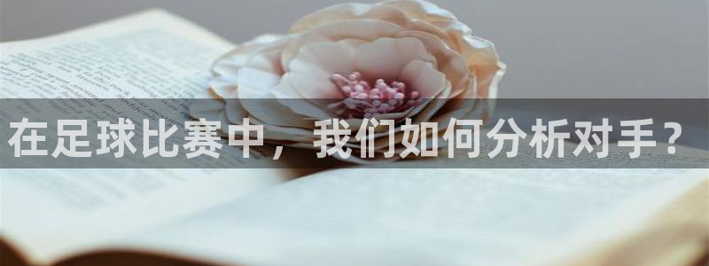 在足球比赛中，我们如何分析对手？
