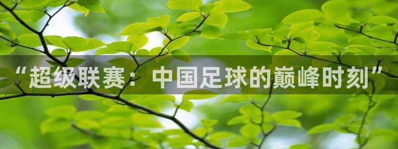 “超级联赛：中国足球的巅峰时刻”