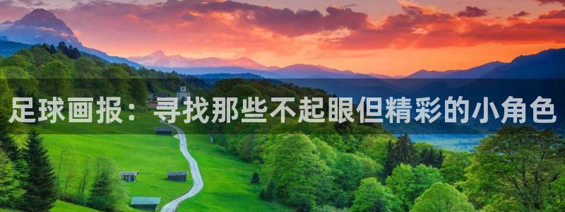 足球画报：寻找那些不起眼但精彩的小角色