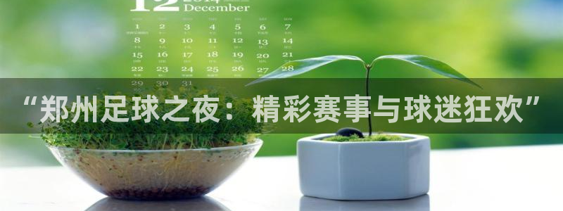 “郑州足球之夜：精彩赛事与球迷狂欢”