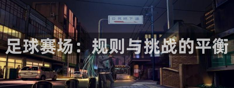足球赛场：规则与挑战的平衡