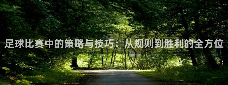  足球比赛中的策略与技巧：从规则到胜利的全方位