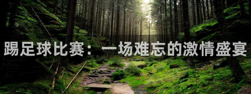  踢足球比赛：一场难忘的激情盛宴