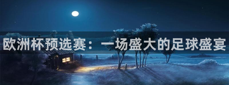 欧洲杯预选赛：一场盛大的足球盛宴