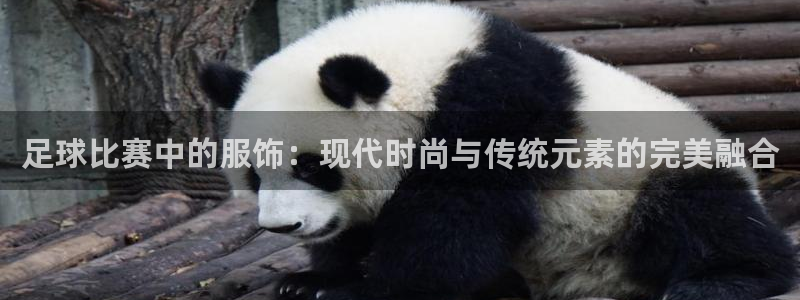 足球比赛中的服饰：现代时尚与传统元素的完美融合