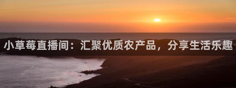 so米直播体育平台直播