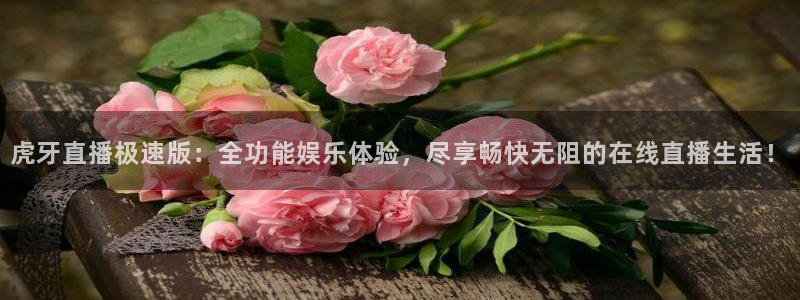 so米体育免费直播入口：虎牙直播极速版：全功能娱乐体验，尽享畅快无阻的在线直播生活！