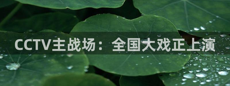 新闻图片