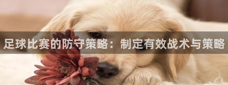 足球比赛的防守策略：制定有效战术与策
