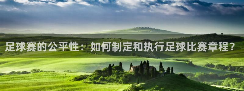 足球赛的公平性：如何制定和执行足球比