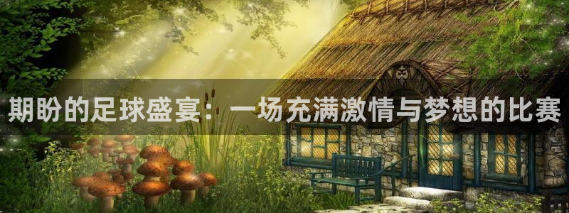 期盼的足球盛宴：一场充满激情与梦想的