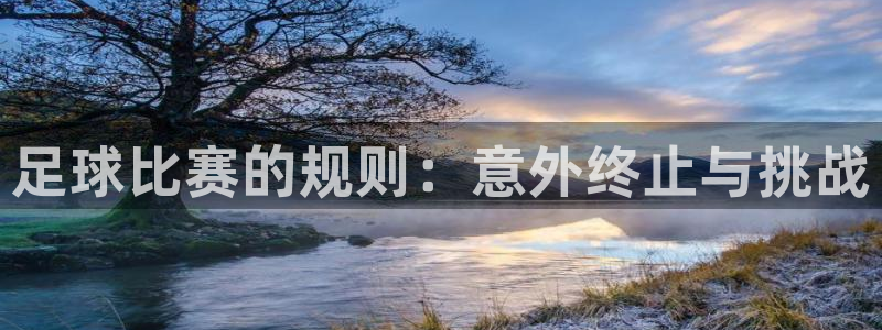 足球比赛的规则：意外终止与挑战