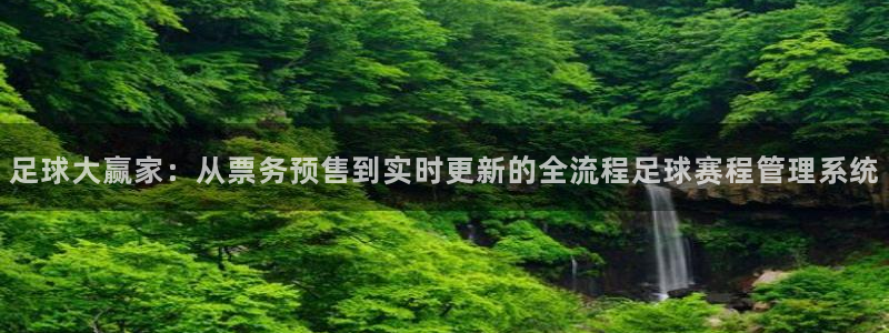 足球大赢家：从票务预售到实时更新的全