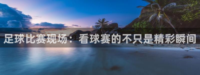 足球比赛现场：看球赛的不只是精彩瞬间