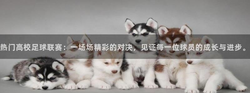 热门高校足球联赛：一场场精彩的对决，