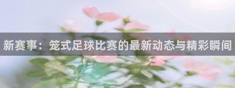 新赛事：笼式足球比赛的最新动态与精彩