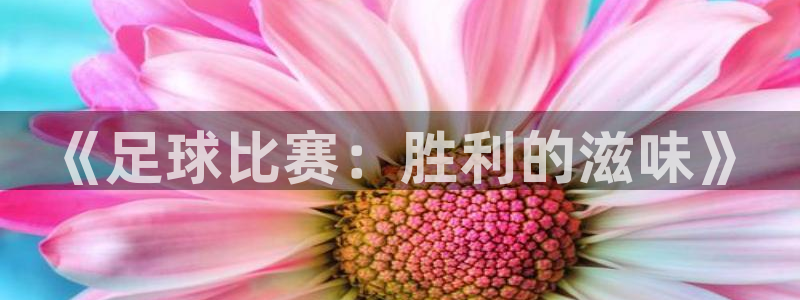 《足球比赛：胜利的滋味》