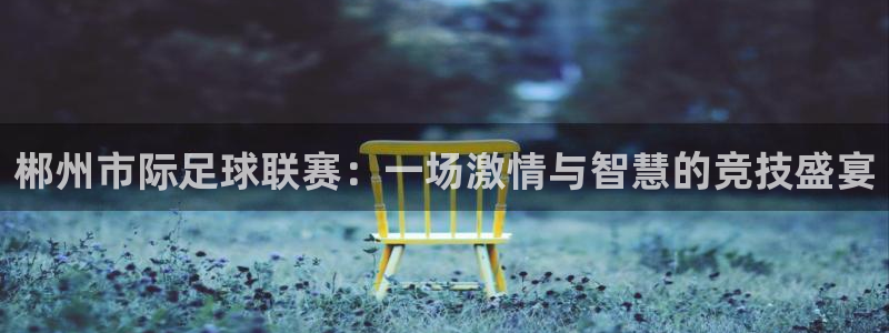 郴州市际足球联赛：一场激情与智慧的竞