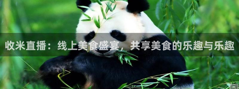 so米直播篮球在线直播：收米直播：线上美食盛宴，共享美食的乐趣与乐趣