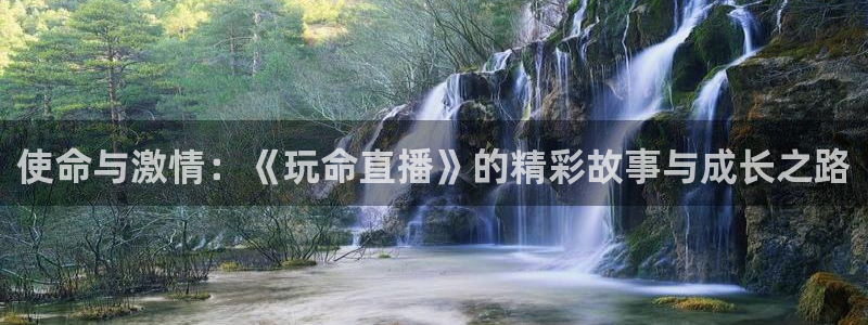 so米直播体育平台直播：使命与激情：《玩命直播》的精彩故事与成长之路