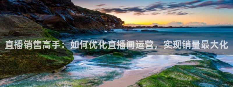 搜米so米体育直播：直播销售高手：如何优化直播间运营，实现销量最大化